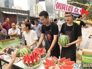 朝阳吃瓜群众,揭秘都市生活百态